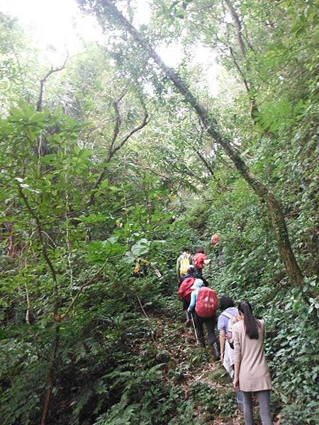 實旅聯網十周年活動.雷公埤山.雷公埤古道.車閂寮古道.中嶺山.十份子古道 097