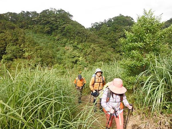 實旅聯網十周年活動.雷公埤山.雷公埤古道.車閂寮古道.中嶺山.十份子古道 117