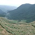 魚路古道秋芒.大油坑山 018