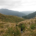 魚路古道秋芒.大油坑山 022