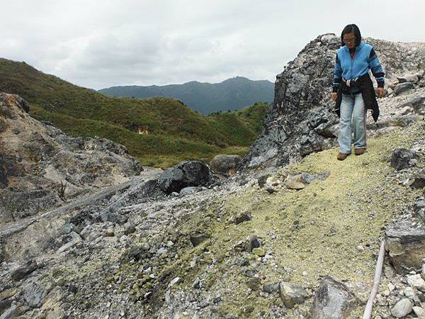 魚路古道秋芒.大油坑山 048