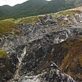 魚路古道秋芒.大油坑山 079