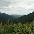 魚路古道秋芒.大油坑山 096