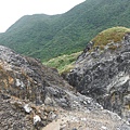 魚路古道秋芒.大油坑山 125