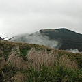 魚路古道秋芒.大油坑山 157