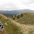 魚路古道秋芒.大油坑山 165