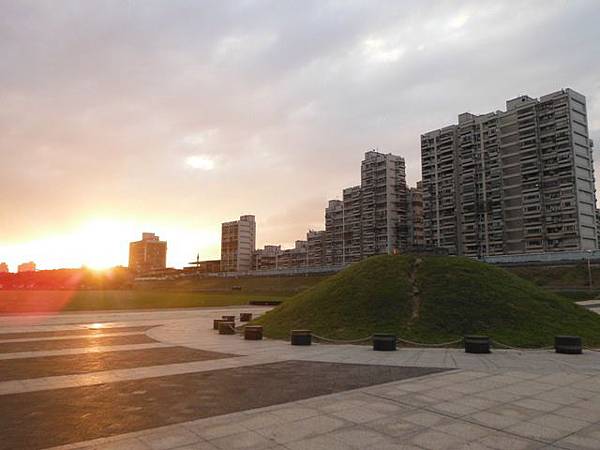 馬場町公園花海 006