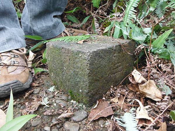 幾米月亮公車.五堵星光橋.五堵獅頭山 105