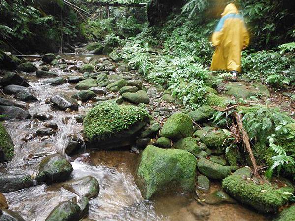 銀河洞瀑布.六分山.四面頭山 071