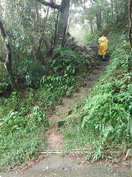 銀河洞瀑布.六分山.四面頭山 080