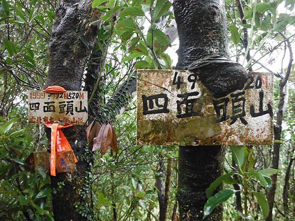 銀河洞瀑布.六分山.四面頭山 096