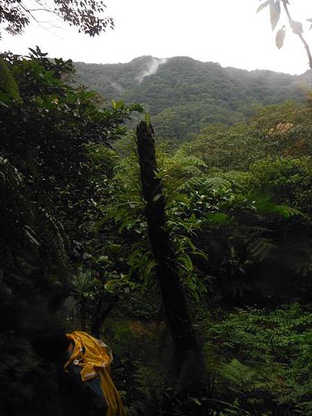 銀河洞瀑布.六分山.四面頭山 107