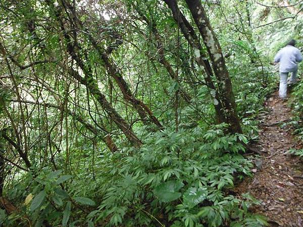 大保克山西峰.內洞瀑布 011