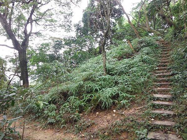 外挖子山.外挖子北山 004