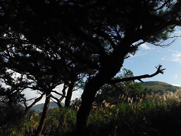 小觀音山西峰火山口.大屯自然公園.百啦卡山.大屯山夕陽、雲海、秋芒 095.JPG