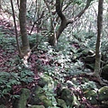 小觀音山西峰火山口.大屯自然公園.百啦卡山.大屯山夕陽、雲海、秋芒 103.JPG