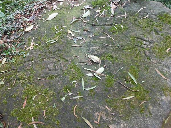 紗帽山.湖山國小泡腳池.硫磺谷泡腳池.泉源公園泡腳池.復興公園泡腳池 029