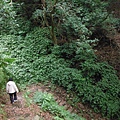 紗帽山.湖山國小泡腳池.硫磺谷泡腳池.泉源公園泡腳池.復興公園泡腳池 082