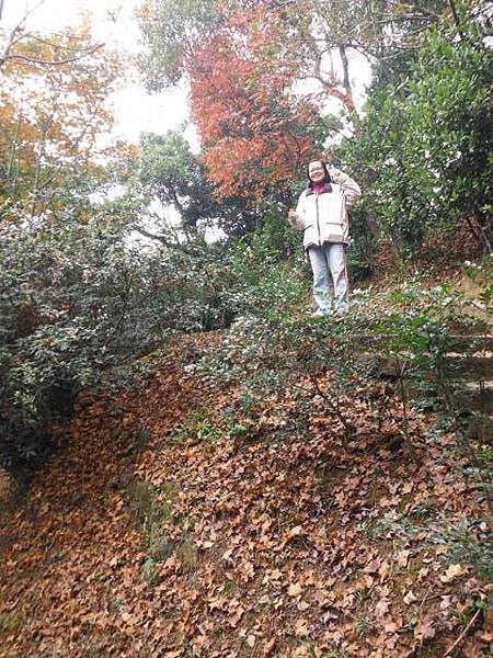 拱北殿賞楓.三秀山 059