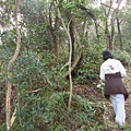 羊年除夕.中埔山.芳蘭山北區水建會隧三角13號基石 029