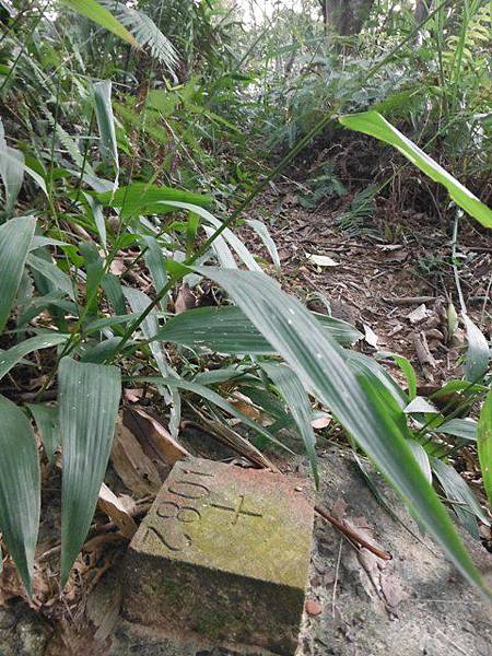 羊年除夕.中埔山.芳蘭山北區水建會隧三角13號基石 030