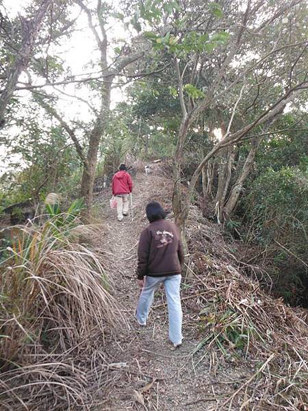 羊年除夕.中埔山.芳蘭山北區水建會隧三角13號基石 045