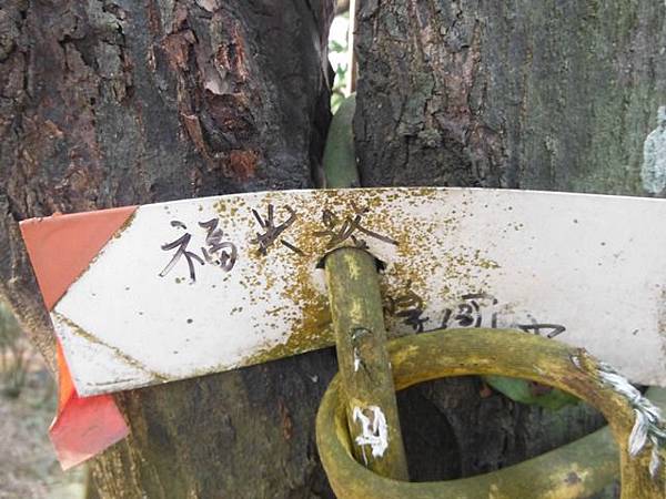羊年除夕.中埔山.芳蘭山北區水建會隧三角13號基石 049