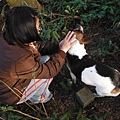 羊年除夕.中埔山.芳蘭山北區水建會隧三角13號基石 055