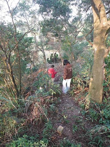 羊年除夕.中埔山.芳蘭山北區水建會隧三角13號基石 058