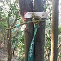 羊年除夕.中埔山.芳蘭山北區水建會隧三角13號基石 059