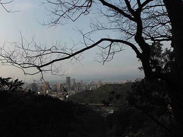 羊年除夕.中埔山.芳蘭山北區水建會隧三角13號基石 061