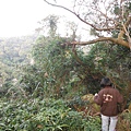 羊年除夕.中埔山.芳蘭山北區水建會隧三角13號基石 066