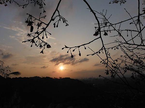 羊年除夕.中埔山.芳蘭山北區水建會隧三角13號基石 077