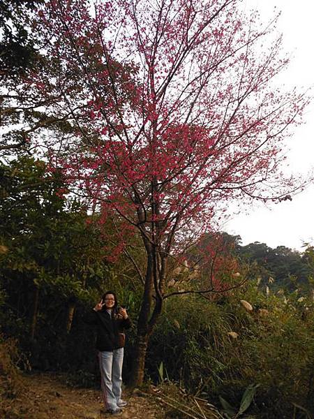 羊年除夕.中埔山.芳蘭山北區水建會隧三角13號基石 083