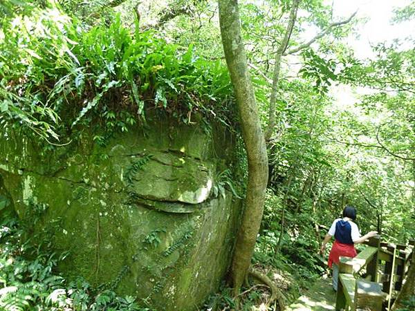 新店獅仔頭山.十分瀑布.濕分老街 013