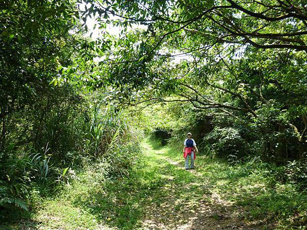 新店獅仔頭山.十分瀑布.濕分老街 021