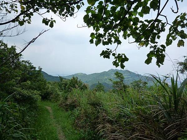 新店獅仔頭山.十分瀑布.濕分老街 024