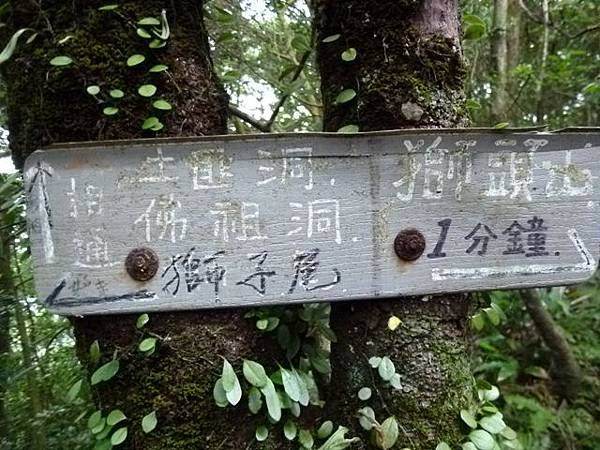 新店獅仔頭山.十分瀑布.濕分老街 047