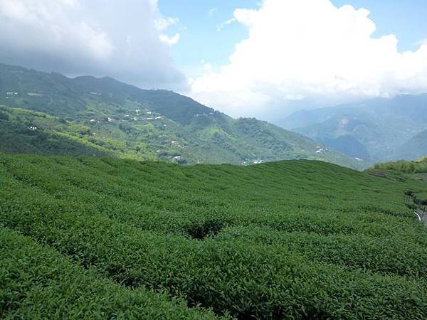 2015機車環島 943