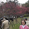 中正紀念堂賞櫻.陽明山賞櫻.旗尾崙山 029.JPG