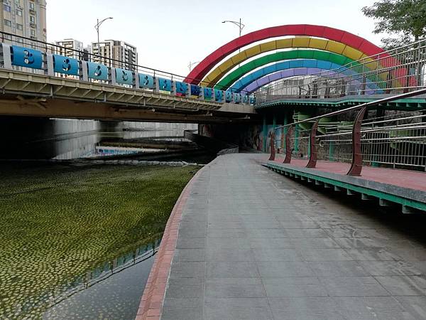 2019.12.15中港大排 (44).jpg