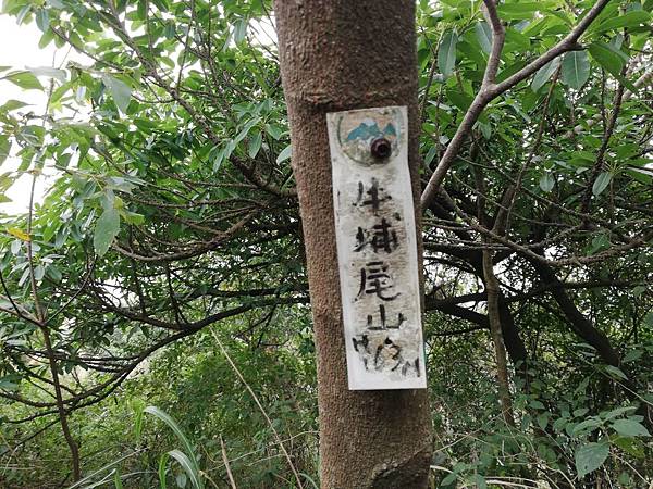 2019.12.19.牛埔尾山 (89).jpg 2019.12.19.牛埔尾山 (89).jpg