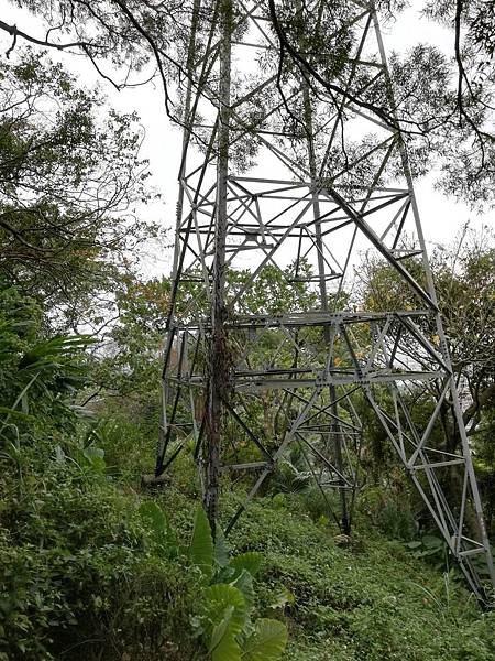 2019.12.19.牛埔尾山 (109).jpg