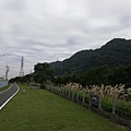 鶯歌碧龍宮3D地景.龜公山.牛灶坑山 (34).jpg