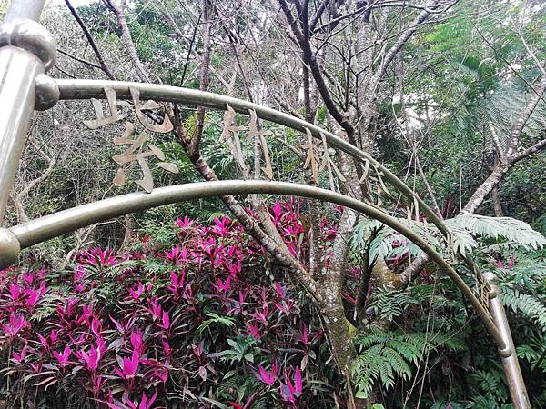 2020.01.05中和紫竹寺梅花 (48).jpg