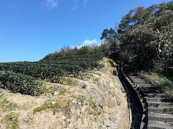 圳沽古道.磨石坑山 (54).jpg