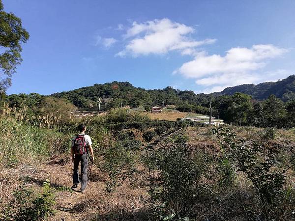 圳沽古道.磨石坑山 (43).jpg