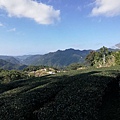 圳沽古道.磨石坑山 (70).jpg