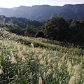 圳沽古道.磨石坑山 (61).jpg