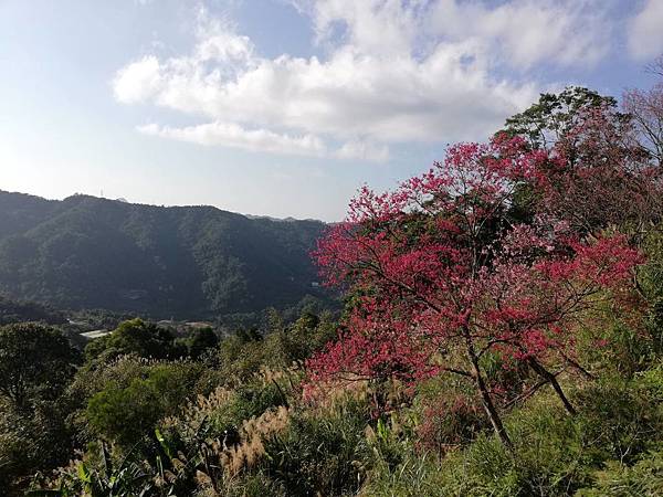 圳沽古道.磨石坑山 (80).jpg